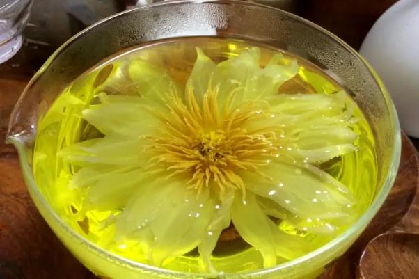 荷花茶的作用與功效 荷花茶和什么泡比較好 荷花茶的作用與功效 荷花茶和什么泡比較好