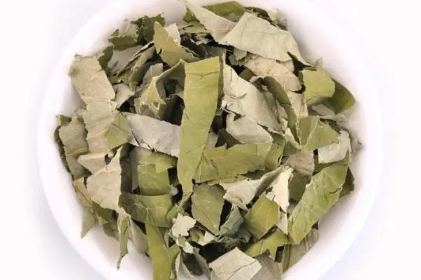 荷葉茶的副作用 荷葉茶的禁忌 荷葉茶的副作用 荷葉茶的禁忌