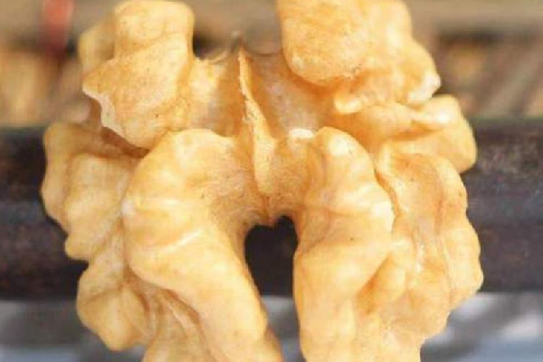 核桃仁的功效與作用 核桃仁對(duì)頭發(fā)的作用 核桃仁的功效與作用 核桃仁對(duì)頭發(fā)的作用