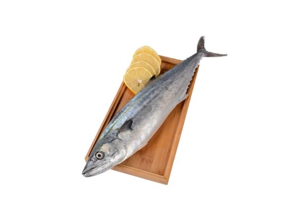 鲅魚的營養(yǎng)價值及功效與作用 鲅魚是海魚還是淡水魚 鲅魚的營養(yǎng)價值及功效與作用 鲅魚是海魚還是淡水魚