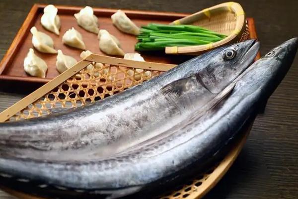 鲅魚為什么出水就死 鲅魚為什么腥味大 鲅魚為什么出水就死 鲅魚為什么腥味大