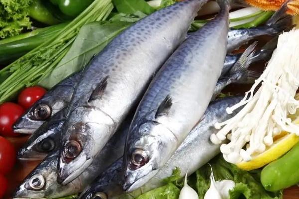 鲅魚的營養(yǎng)價(jià)值及功效與作用 鲅魚是海魚還是淡水魚