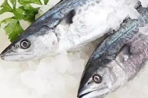 鲅魚(yú)對(duì)身體有什么好處 鲅魚(yú)對(duì)胃好嗎 鲅魚(yú)對(duì)身體有什么好處 鲅魚(yú)對(duì)胃好嗎