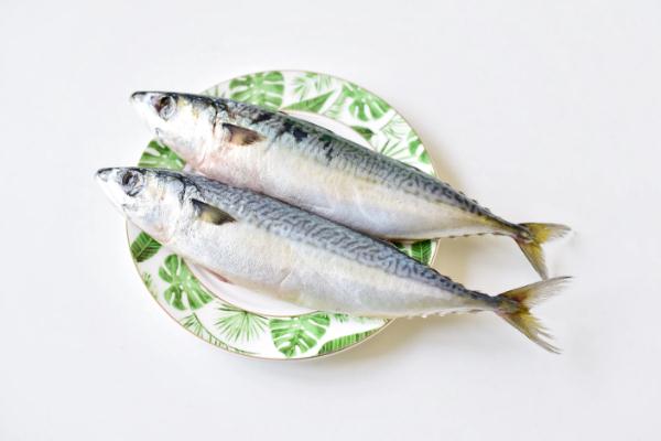 鲅魚(yú)對(duì)身體有什么好處 鲅魚(yú)對(duì)胃好嗎 鲅魚(yú)對(duì)身體有什么好處 鲅魚(yú)對(duì)胃好嗎
