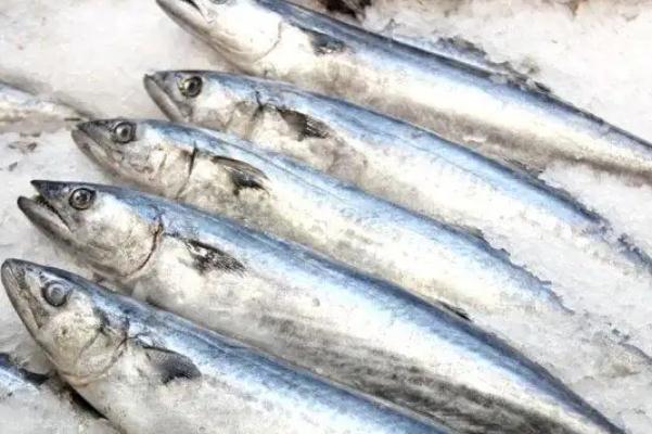 鲅魚孕婦可以吃嗎 鲅魚的蛋白質(zhì)含量是多少 鲅魚孕婦可以吃嗎 鲅魚的蛋白質(zhì)含量是多少