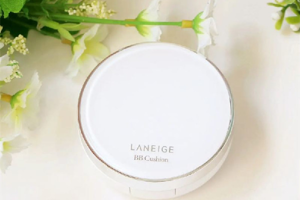 蘭芝氣墊和愛敬氣墊哪個好用 蘭芝氣墊屬于什么檔次 蘭芝氣墊和愛敬氣墊哪個好用 蘭芝氣墊屬于什么檔次