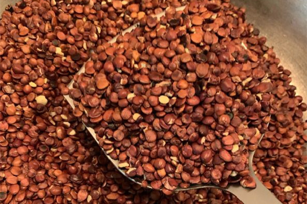 酸棗仁怎么辨別真假 酸棗仁買(mǎi)回來(lái)自己炒可以嗎 酸棗仁怎么辨別真假 酸棗仁買(mǎi)回來(lái)自己炒可以嗎