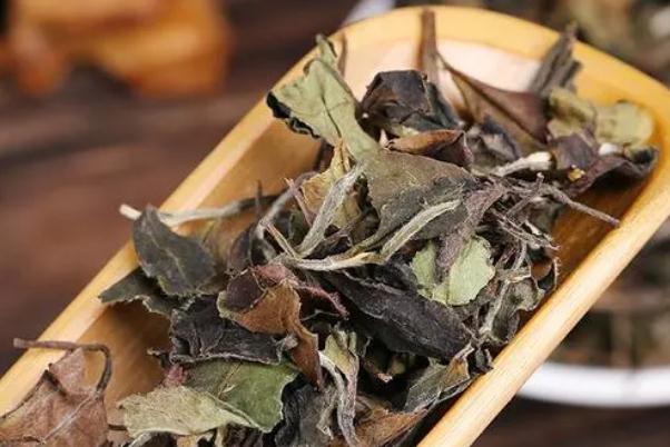 老白茶有保質(zhì)期嗎 老白茶有減肥功效嗎 老白茶有保質(zhì)期嗎 老白茶有減肥功效嗎