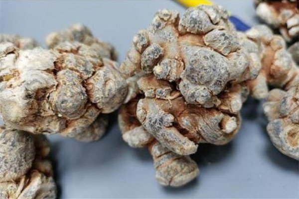 三七買(mǎi)粉還是買(mǎi)整個(gè)好 三七怎么挑選啥樣的為最好 三七買(mǎi)粉還是買(mǎi)整個(gè)好 三七怎么挑選啥樣的為最好