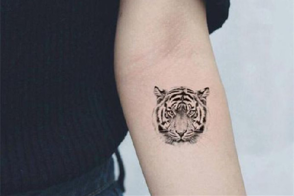 紋身貼怎么貼上去 紋身貼貼多久撕開 紋身貼怎么貼上去 紋身貼貼多久撕開