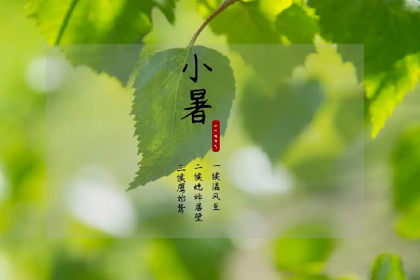 小暑節(jié)氣是幾月幾日 小暑節(jié)氣的特點(diǎn)和風(fēng)俗 小暑節(jié)氣是幾月幾日 小暑節(jié)氣的特點(diǎn)和風(fēng)俗