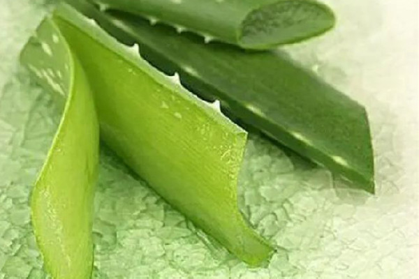 蘆薈膠要避光使用嗎 蘆薈膠什么時候用最好效果最佳 蘆薈膠要避光使用嗎 蘆薈膠什么時候用最好效果最佳