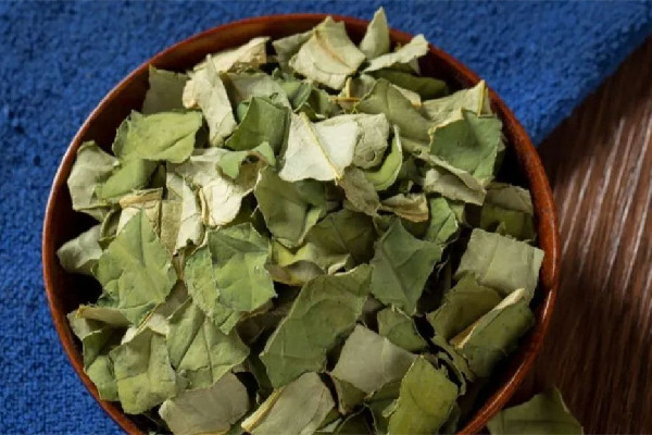 干荷葉和新鮮荷葉哪個(gè)效果好 干荷葉多少錢一斤 干荷葉和新鮮荷葉哪個(gè)效果好 干荷葉多少錢一斤