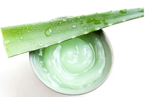 蘆薈膠能修復疤痕嗎 蘆薈膠對燙傷有用嗎