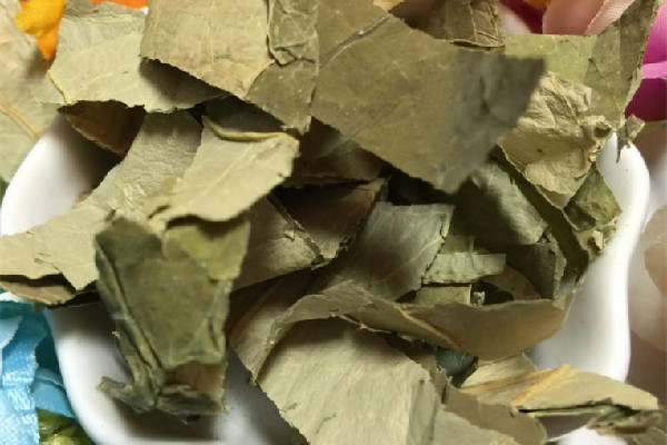 干荷葉和新鮮荷葉哪個(gè)效果好 干荷葉多少錢一斤 干荷葉和新鮮荷葉哪個(gè)效果好 干荷葉多少錢一斤