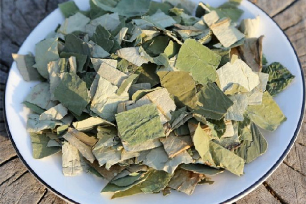 干荷葉泡水喝會拉肚子嗎 干荷葉泡水對導(dǎo)致胃不舒服嗎 干荷葉泡水喝會拉肚子嗎 干荷葉泡水對導(dǎo)致胃不舒服嗎