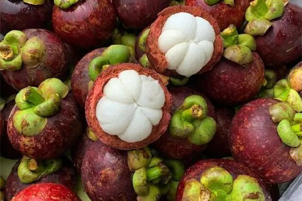 山竹的功效和作用 山竹上火還是降火 山竹的功效和作用 山竹上火還是降火