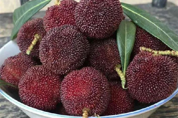 楊梅酒可以存放多久 楊梅酒放冰箱還是常溫 楊梅酒可以存放多久 楊梅酒放冰箱還是常溫