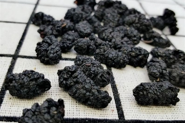 桑葚干直接吃好還是泡水好 桑葚干直接吃有營養(yǎng)嗎 桑葚干直接吃好還是泡水好 桑葚干直接吃有營養(yǎng)嗎