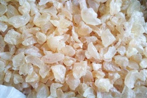 雪燕和燕窩哪個(gè)營養(yǎng)價(jià)值高 雪燕和功效和作用