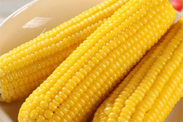 糯玉米含糖量高嗎 糯玉米不適合哪些人吃 糯玉米含糖量高嗎 糯玉米不適合哪些人吃