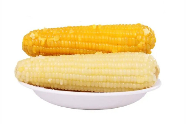 糯玉米是不是不好消化 糯玉米對胃好嗎 糯玉米是不是不好消化 糯玉米對胃好嗎