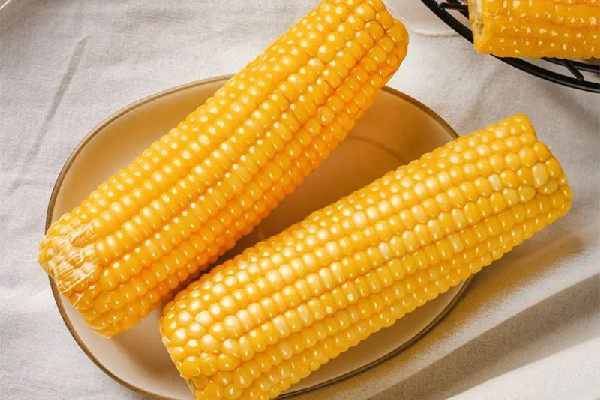 糯玉米含糖量高嗎 糯玉米不適合哪些人吃 糯玉米含糖量高嗎 糯玉米不適合哪些人吃