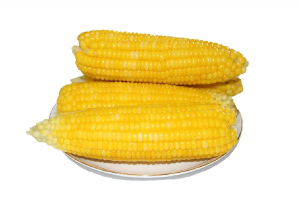甜玉米會導(dǎo)致血糖升高嗎 甜玉米糖尿病人可以吃嗎 甜玉米會導(dǎo)致血糖升高嗎 甜玉米糖尿病人可以吃嗎