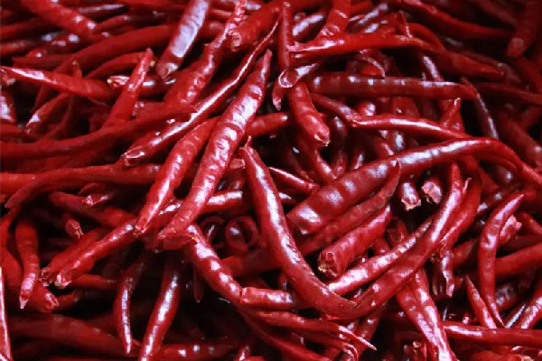 干辣椒是不是越煮越辣 干辣椒煮多久出辣味 干辣椒是不是越煮越辣 干辣椒煮多久出辣味