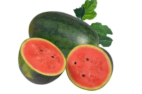 黑美人西瓜怎么挑選 黑美人西瓜很硬怎么回事 黑美人西瓜怎么挑選 黑美人西瓜很硬怎么回事