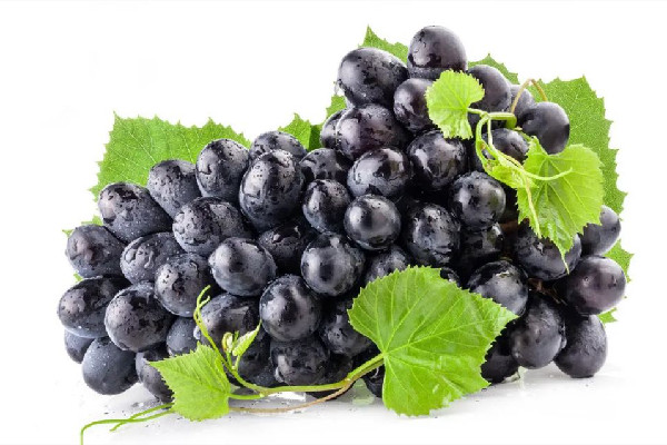 葡萄可以空腹吃嗎 葡萄可以多吃嗎