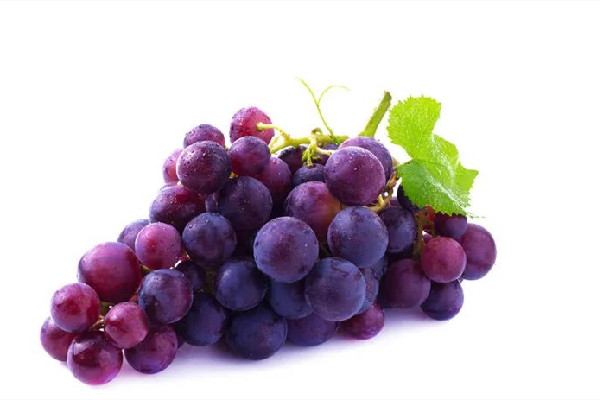 葡萄可以連皮一起吃嗎 葡萄吃皮好還是不吃皮好 葡萄可以連皮一起吃嗎 葡萄吃皮好還是不吃皮好