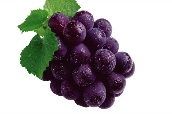 葡萄可以空腹吃嗎 葡萄可以多吃嗎 葡萄可以空腹吃嗎 葡萄可以多吃嗎