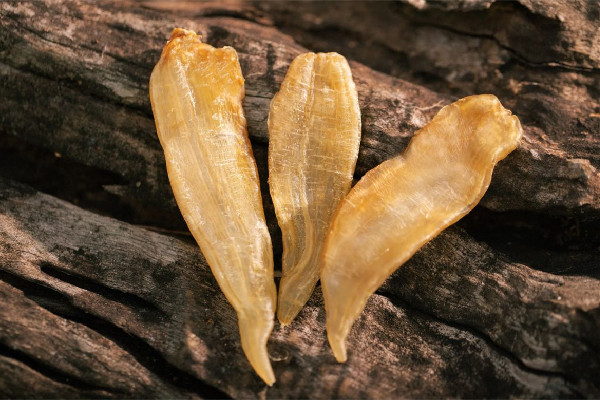 花膠的功效和作用 花膠可以補(bǔ)充膠原蛋白嗎 花膠的功效和作用 花膠可以補(bǔ)充膠原蛋白嗎