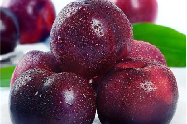 黑布林的營養(yǎng)價值和功效 黑布林可以促進排便嗎