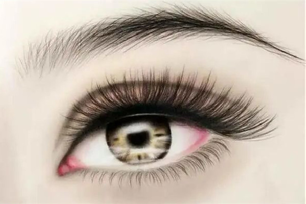 怎么畫適合自己的眉毛 畫眉毛用什么工具 怎么畫適合自己的眉毛 畫眉毛用什么工具