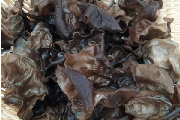 干木耳用熱水泡還是冷水泡 干木耳泡發(fā)的正確方法和時間 干木耳用熱水泡還是冷水泡 干木耳泡發(fā)的正確方法和時間