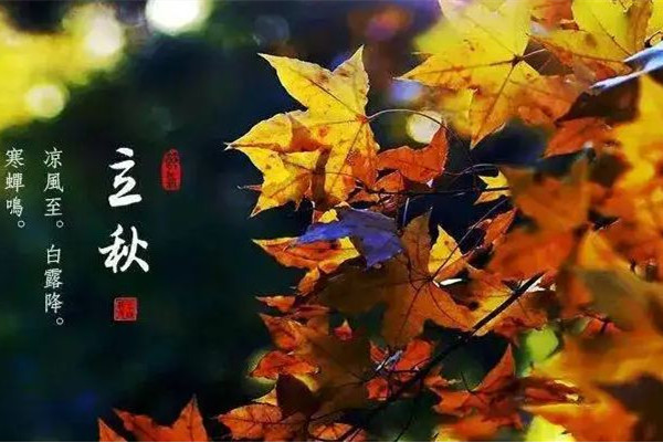 立秋是不是就不熱了 立秋會(huì)降溫嗎 立秋是不是就不熱了 立秋會(huì)降溫嗎