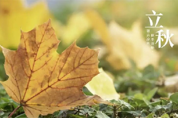 立秋是2022的幾月幾日幾點(diǎn) 立秋代表秋天的開(kāi)始嗎 立秋是2022的幾月幾日幾點(diǎn) 立秋代表秋天的開(kāi)始嗎