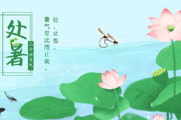 處暑吃羊肉好嗎 處暑吃什么傳統(tǒng)食物 處暑吃羊肉好嗎 處暑吃什么傳統(tǒng)食物