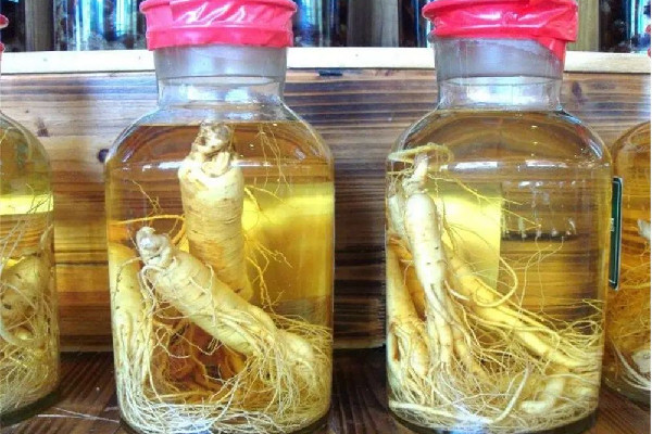 泡酒補腎壯陽用什么材料最好 泡酒用干人參好還是新鮮人參好 泡酒補腎壯陽用什么材料最好 泡酒用干人參好還是新鮮人參好