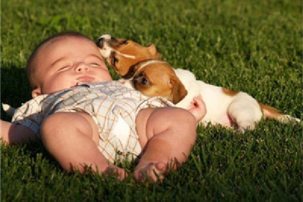 曬背可以去寒氣嗎 曬背去濕寒的最佳時間 曬背可以去寒氣嗎 曬背去濕寒的最佳時間