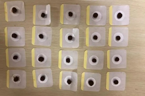 三伏貼可以自己在家貼嗎 三伏貼怎么貼效果好 三伏貼可以自己在家貼嗎 三伏貼怎么貼效果好