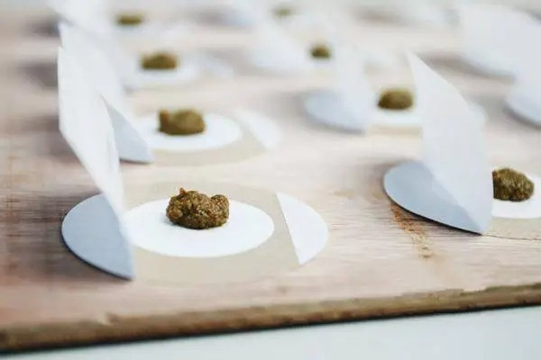 三伏貼可以晚上睡覺時(shí)貼嗎 三伏貼什么時(shí)間點(diǎn)貼最好