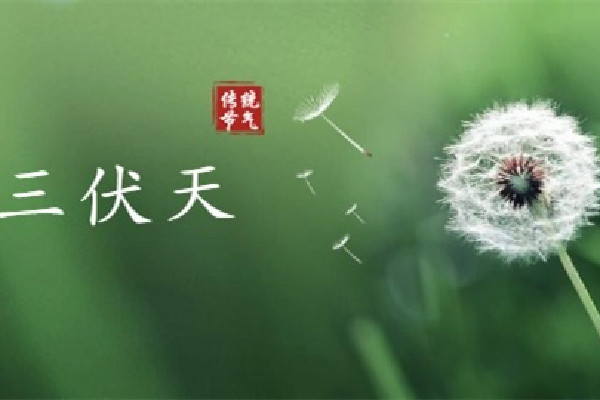 伏天有公伏和母伏之分嗎 伏天有什么說(shuō)法 伏天有公伏和母伏之分嗎 伏天有什么說(shuō)法