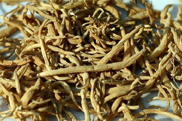 太子參煲湯一次放幾根 太子參煲湯什么時候放 太子參煲湯一次放幾根 太子參煲湯什么時候放