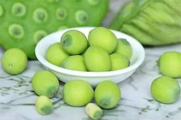 新鮮蓮子生吃有什么好處 新鮮蓮子和干蓮子的功效一樣嗎 新鮮蓮子生吃有什么好處 新鮮蓮子和干蓮子的功效一樣嗎