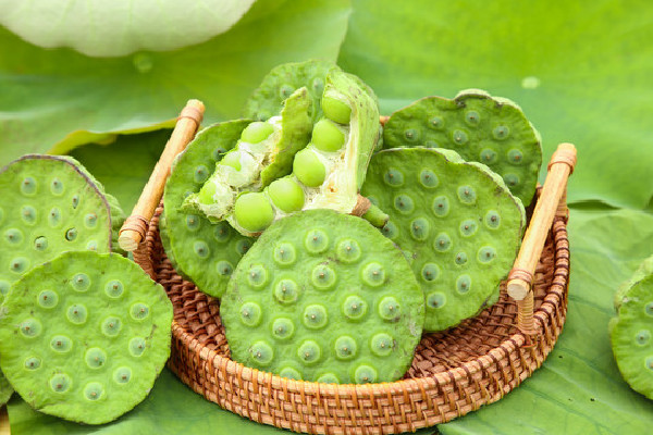 新鮮蓮子生吃有什么好處 新鮮蓮子和干蓮子的功效一樣嗎 新鮮蓮子生吃有什么好處 新鮮蓮子和干蓮子的功效一樣嗎