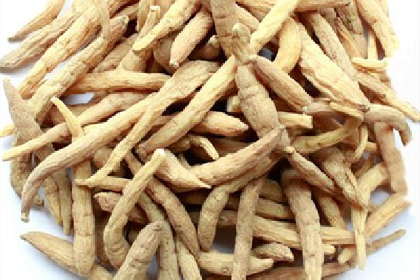 太子參有股霉味屬于正常嗎 太子參有發(fā)霉的味道怎么回事 太子參有股霉味屬于正常嗎 太子參有發(fā)霉的味道怎么回事