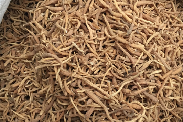 太子參可以燉雞湯嗎 太子參燉雞的做法 太子參可以燉雞湯嗎 太子參燉雞的做法